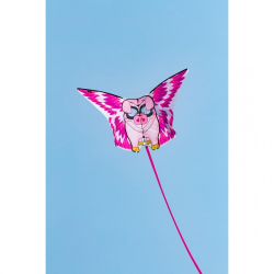 latawiec-hq-flying-floyd