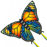 latawiec-butterfly-motyl-gunther