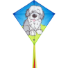 latawiec-eddy-shaggy-dog