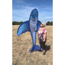 latawiec-hq-dolphin-kite