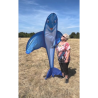 latawiec-hq-dolphin-kite