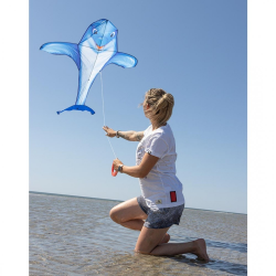 latawiec-hq-dolphin-kite