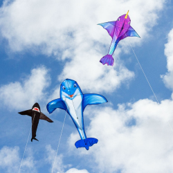 latawiec-hq-dolphin-kite