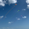 prism-tube-tail-75-ft-infrared