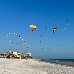 prism-tube-tail-75-ft-infrared