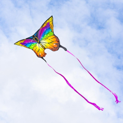 latawiec-hq-butterfly-kite-rainbow