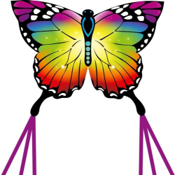latawiec-hq-butterfly-kite-rainbow