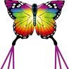 latawiec-hq-butterfly-kite-rainbow