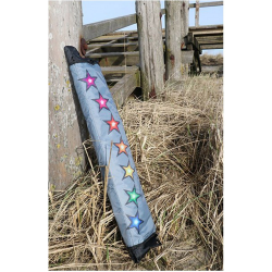 latawiec-spiderkites-heavens-gate