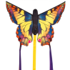 latawiec-hq-butterfly-swallowtail-r