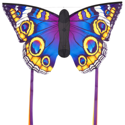 hq-butterfly-buckeye-l