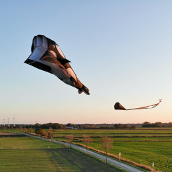 latawiec-hq-parafoil-orca