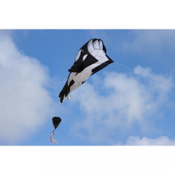 latawiec-hq-parafoil-orca