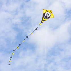 latawiec-hq-eddy-50-bumble-bee