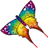 Latawiec HQ Butterfly 110 rainbow – Sklep z latawcami