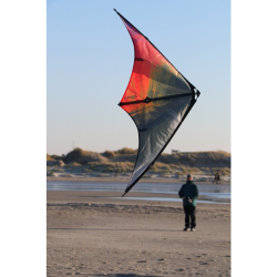 Spiderkites Buddy 2025 reb/black