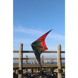 Spiderkites Buddy 2025 reb/black