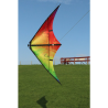 Spiderkites Buddy 2025 Rainbow