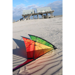 Spiderkites Buddy 2025 Rainbow