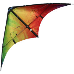 Spiderkites Buddy 2025 Rainbow