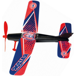 samolot Gunther Raizor