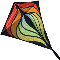 Designereddy Brasington Diamond