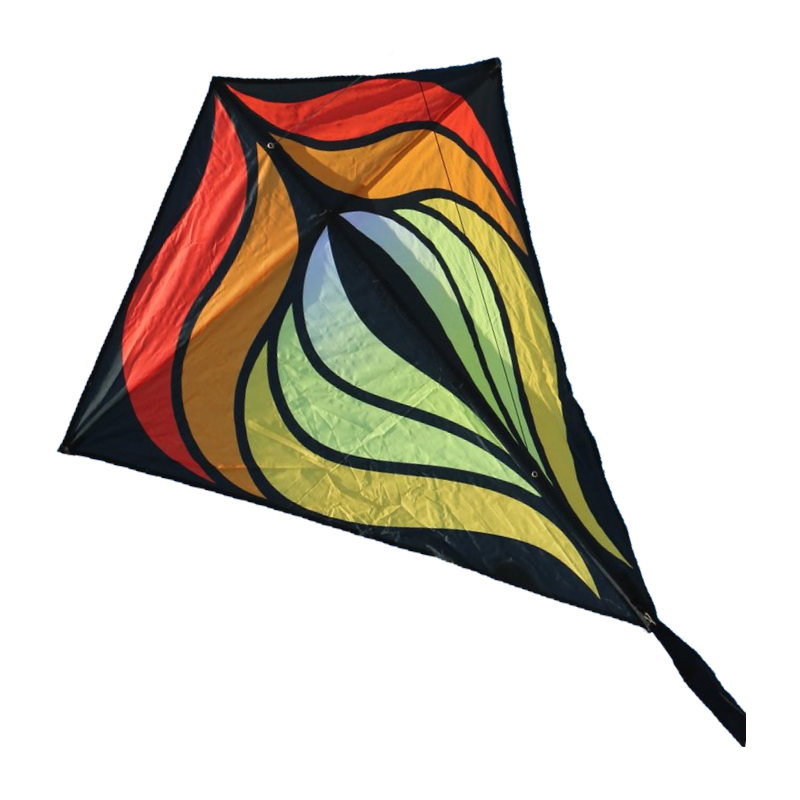 Designereddy Brasington Diamond