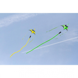 Latawiec Hoffmanns Canard Delta Lime - Sklep z latawcami