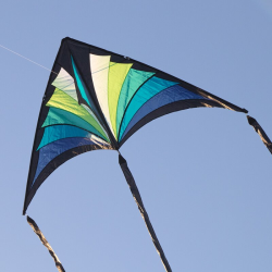 Brasington Taz Delta blue