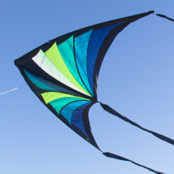 Brasington Taz Delta blue