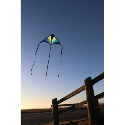 Brasington Taz Delta blue