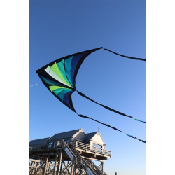 Brasington Taz Delta blue