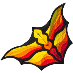 Brasington's Butterfly