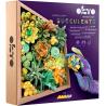 OKTO Succulents 1