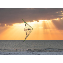 Prism Quantum 2.0 Mylar Green - Yellow