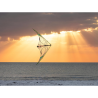 Prism Quantum 2.0 Mylar Green - Yellow