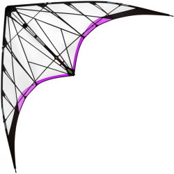 Prism Synthesis Purple