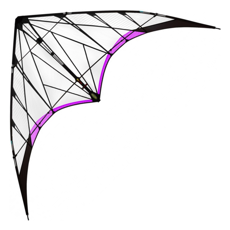 Prism Synthesis Purple