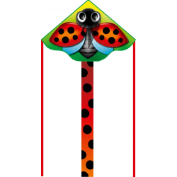 Latawiec Simple Flyer 120 Ladybug - Sklep z latawcami