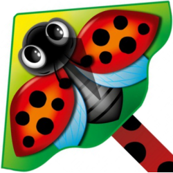 Latawiec Simple Flyer 120 Ladybug - Sklep z latawcami