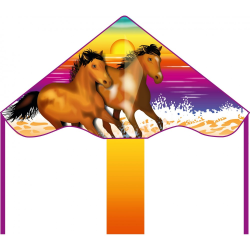 Latawiec Simple Flyer 85 Wild Horses - Sklep z latawcami