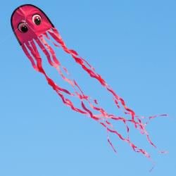 Latawiec Draki RED - Sklep z latawcami