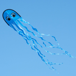 Latawiec Draki BLUE - Sklep z latawcami