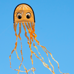 Latawiec Draki Orange - Sklep z latawcami