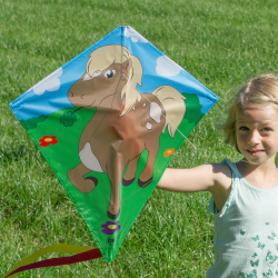 Latawiec Eddy-S Pony - Sklep z latawcami