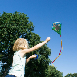 Latawiec Eddy-S Pony - Sklep z latawcami