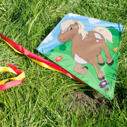 Latawiec Eddy-S Pony - Sklep z latawcami