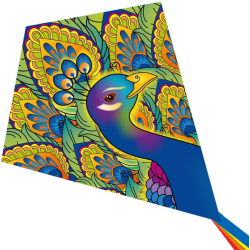 Latawiec HQ Eddy Peacock - Sklep z latawcami