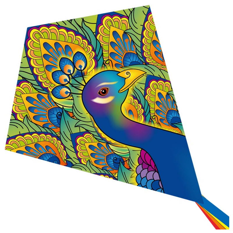 Latawiec HQ Eddy Peacock - Sklep z latawcami