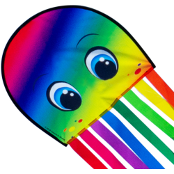 Latawiec Draki XL RAINBOW - Sklep z latawcami